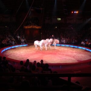 Zirkus Krone, München, Dez. 2005 - Jan. 2006