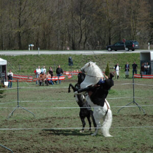 Springkonkurrenz Laupen, April 2006