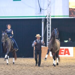 Abendshow BEA Bern 2019 mit Jessica Suckardt_01