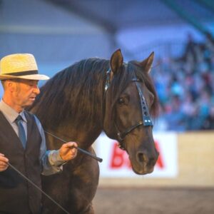 Abendshow BEA Bern 2019 mit Jessica Suckardt_02