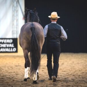 Abendshow BEA Bern 2019 mit Jessica Suckardt_03