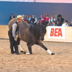 Abendshow BEA Bern 2019 mit Jessica Suckardt_05